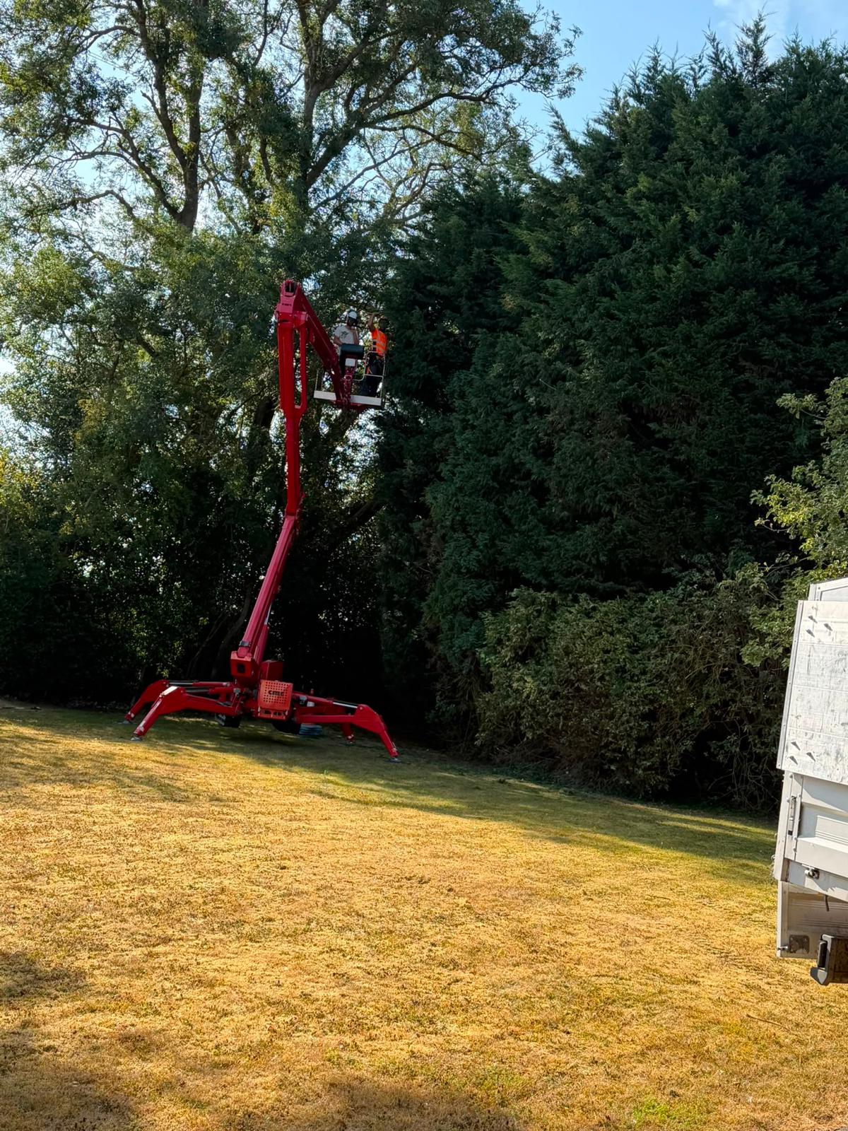 Two tree surgeons in a red cherry picker trimming tall hedges on a sunny day